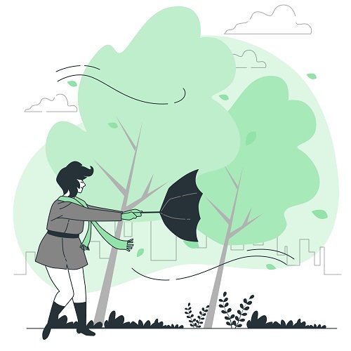 NGAY DEP THANG 1 DE MUA XE 3